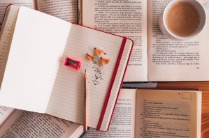 Текстология и литературная критика