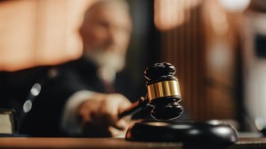 Судебная деятельность (с доп. квалификацией «Специалист в области медиации (медиатор)»)