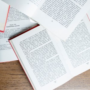 Прикладная лингвистика и переводоведение