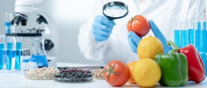 Биотехнология продуктов питания и пищевая безопасность
