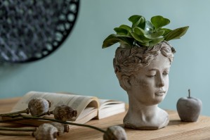 Культурология