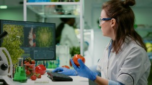Технологии здорового питания, безопасность продукции и организация пищевых производств