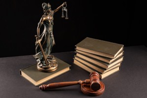 Юриспруденция: международно-правовой профиль