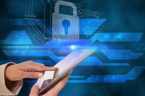 Правовое обеспечение информационной безопасности и цифровой экономики