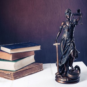 Государственно-правовая политика, правотворчество, правореализация