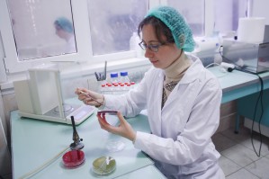 Лаборант в области ветеринарии