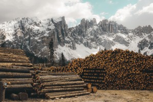 Лесозаготовительное производство