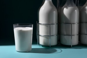 Технология молока и молочных продуктов