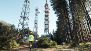 Радиоэкология и экологическая безопасность