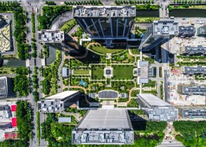 Организация и развитие урбанизированных территорий