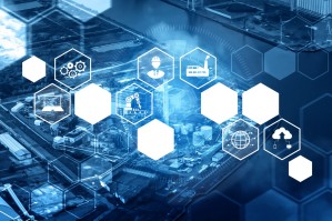 Информационные платформы и экосистемы цифрового государства