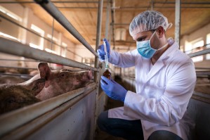 Технология продуктов питания животного происхождения