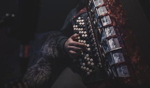 Баян, аккордеон и струнные щипковые инструменты