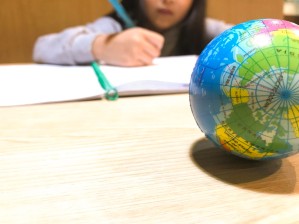Теория и методика преподавания иностранных языков и культур (основной язык -английский, второй язык -арабский)