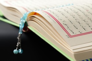 Языки и литературы народов стран Азии и Африки (арабский язык)