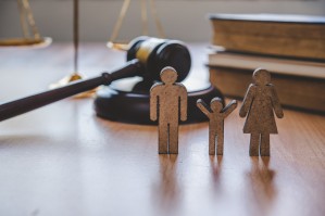 Гражданское право, семейное право, международное частное право