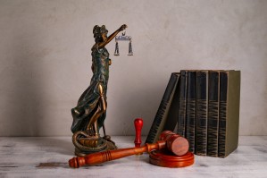 Политика и право
