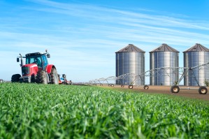 Производство и переработка сельскохозяйственной продукции