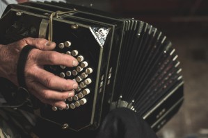Баян, аккордеон и струнные щипковые инструменты