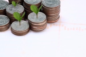 Экономика устойчивого развития
