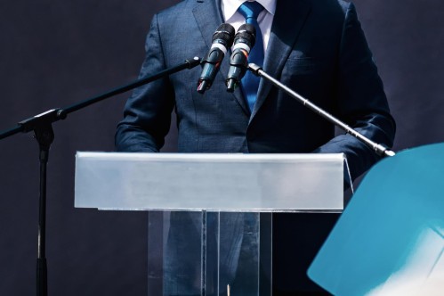 Публичная политика