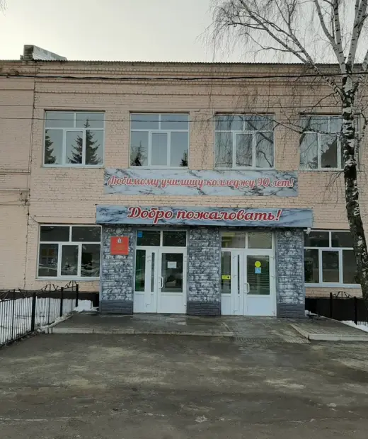 Лукояновский педагогический колледж им. А. М. Горького