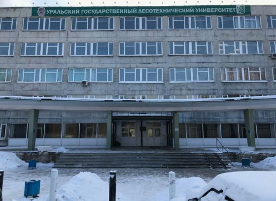 Уральский лесотехнический колледж Уральского государственного лесотехнического университета