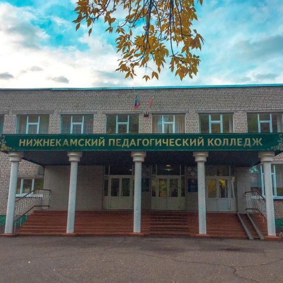 Нижнекамский педагогический колледж