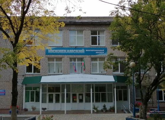 Нижнекамский многопрофильный колледж