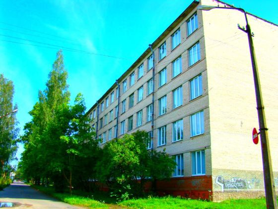 Сланцевский индустриальный техникум