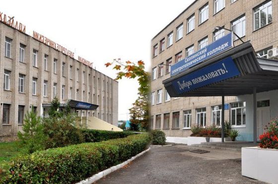 Скопинский электротехнический колледж