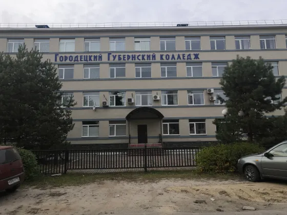 Городецкий губернский колледж