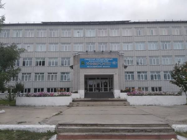 Филиал СибГУ в г. Лесосибирске