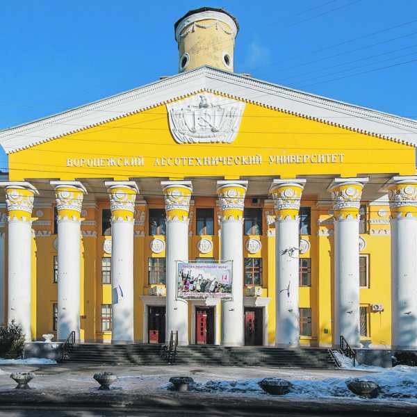 Фото 1 ВГЛТУ