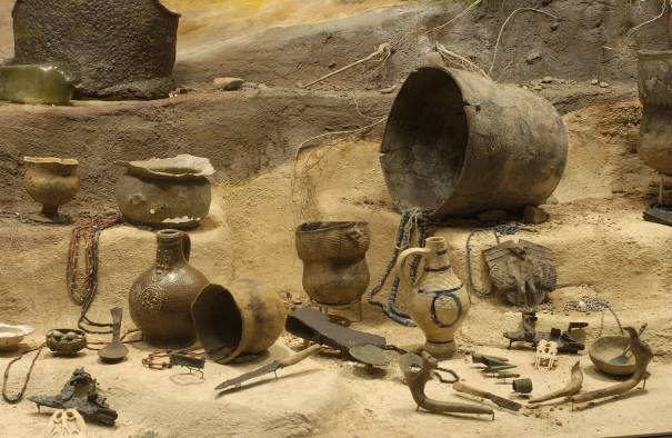 Антропология и этнология в УрФУ специальность: профили, проходные баллы ...