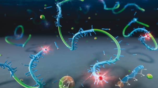 ННГУ им. Лобачевского: поступление на магистратуру, проходной балл ...