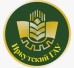 Логотип Колледж автомобильного транспорта и агротехнологий Иркутского государственного аграрного университета имени А.А. Ежевского