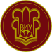 Логотип ВИУ