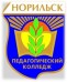 Логотип Норильский педагогический колледж