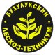 БЛТ