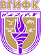 ВГИФК