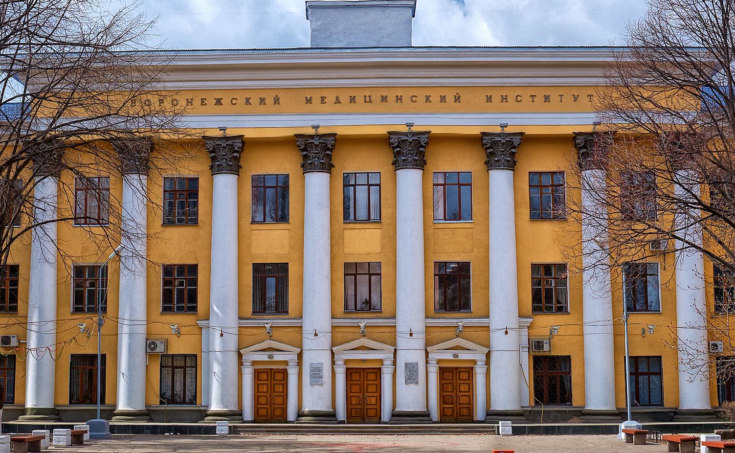 Лечебное дело в ВГМУ им. Бурденко, профиль специалитета