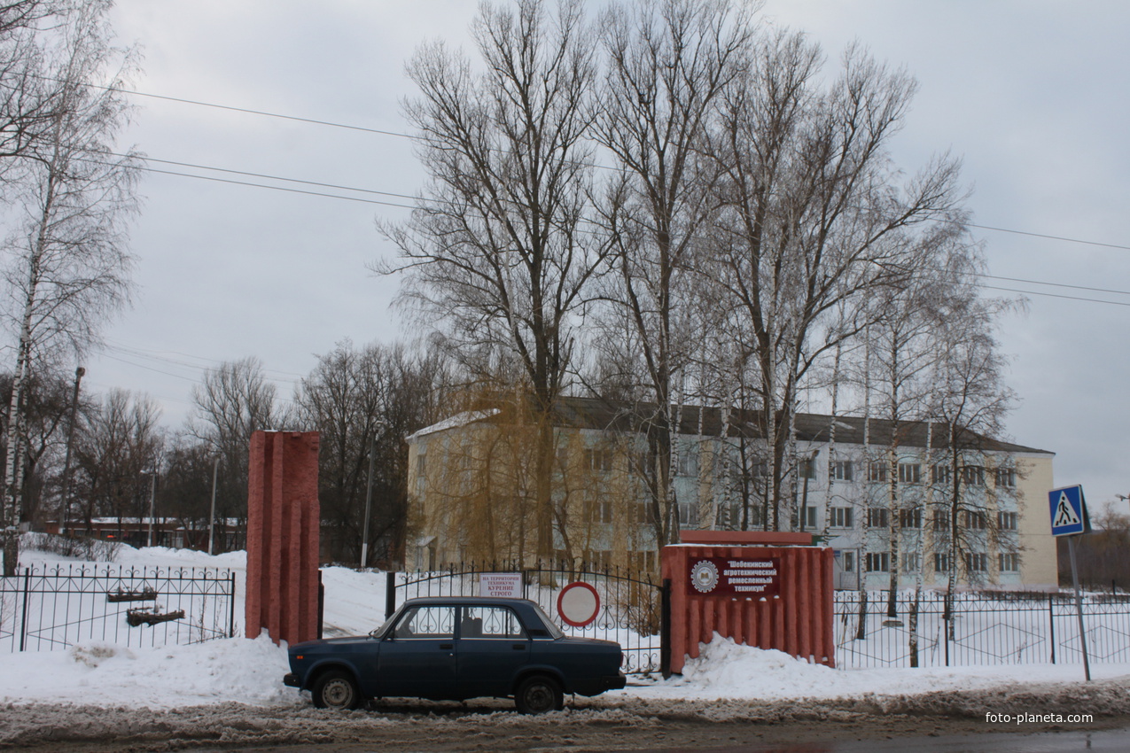 Специальности в ШАРТ (Шебекинский агротехнический ремесленный техникум):  средний балл аттестата на бюджет и платное, стоимость обучения, количество  мест