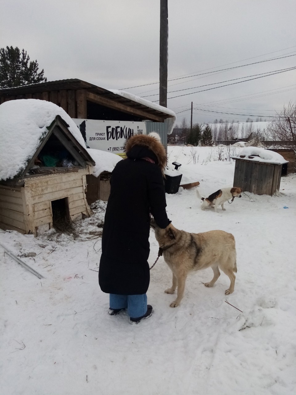 КПППК: Коми-Пермяцкий профессионально-педагогический колледж все о ссузе,  стоит ли поступать, специальности, проходные баллы аттестата, отзывы