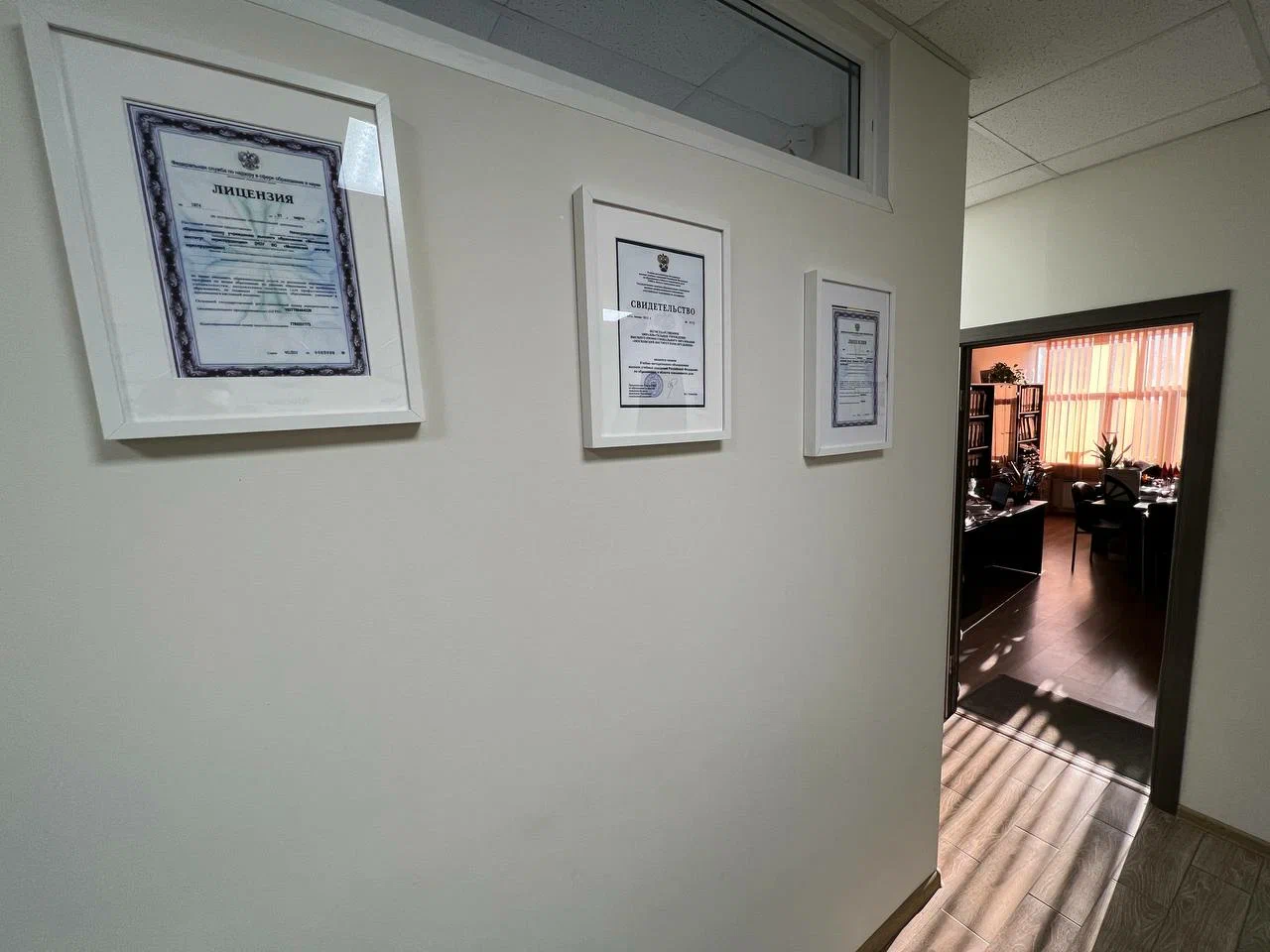 МИЮ 2024: Московский институт юриспруденции - стоит ли поступать? ВСЯ ...