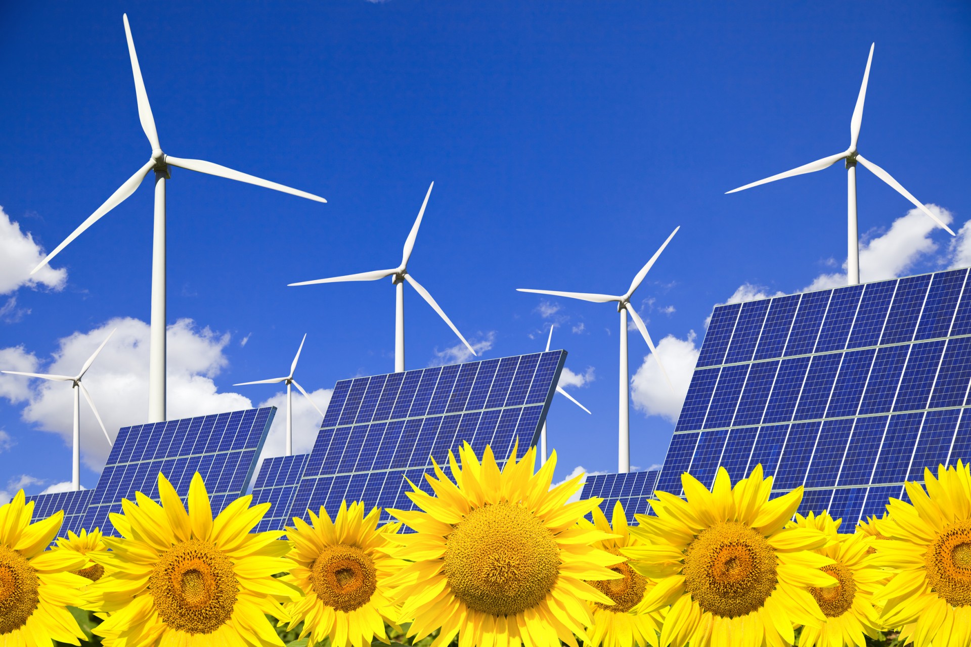 vietnam solar companies Energía renovable, Energía solar, Sistema de energía sol