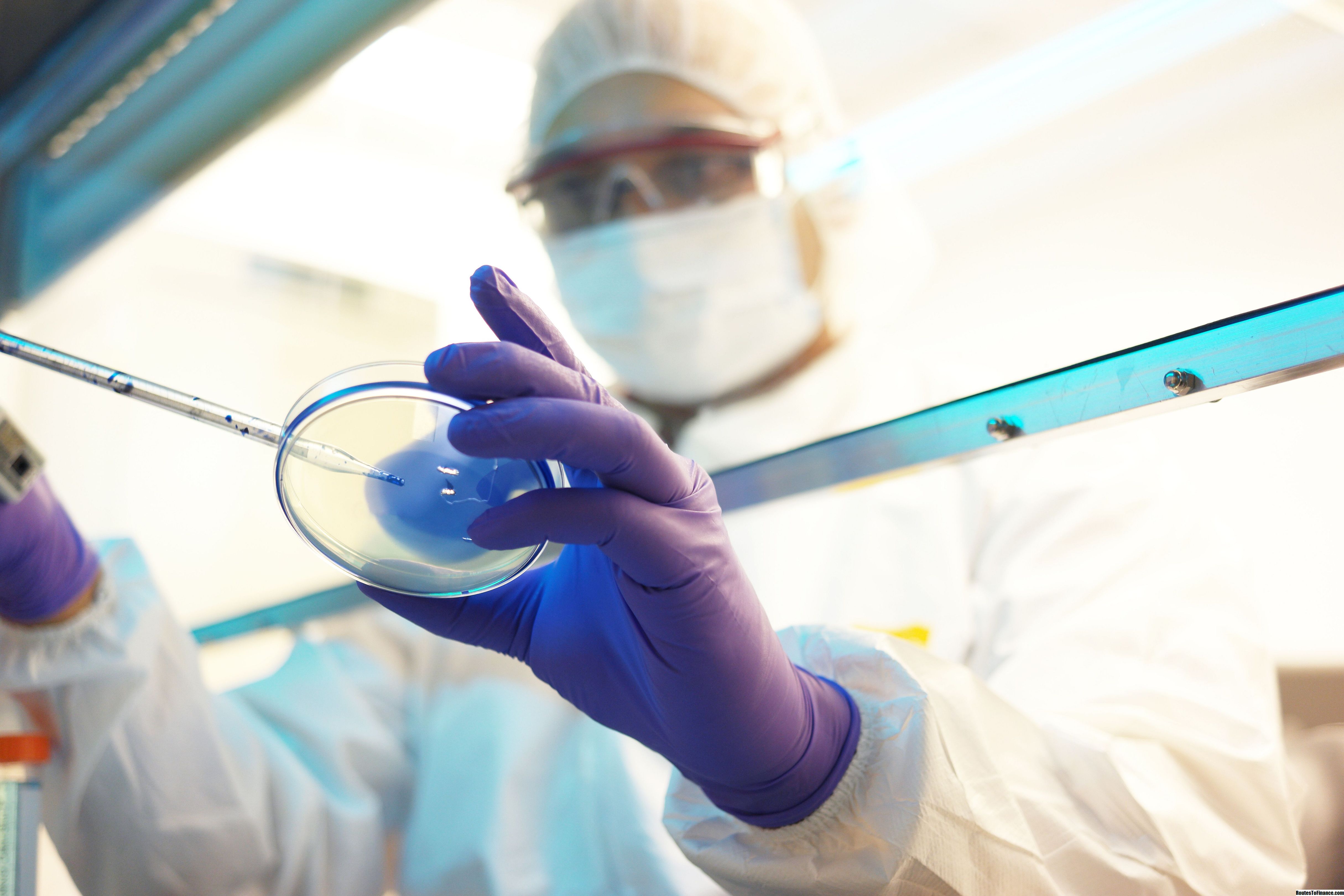 Биотехнология пищевых продуктов из растительного сырья: профиль ...