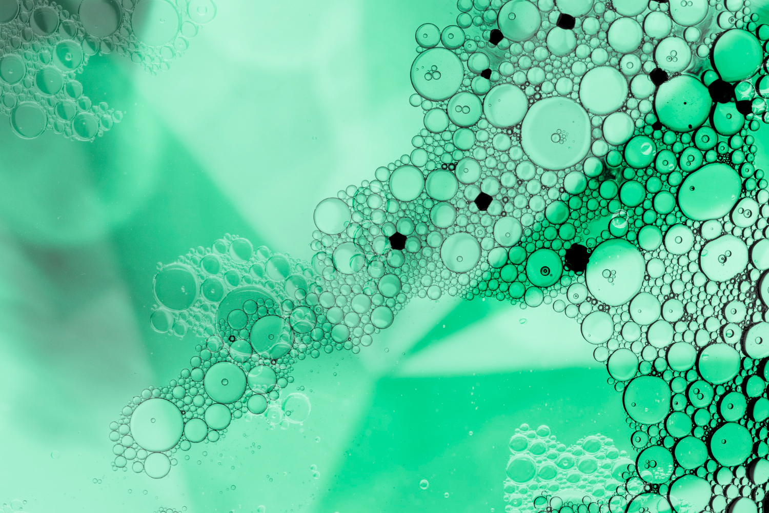 Basecamp Research Lands $140M to Scale AI-Designed Therapeutics